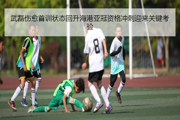 武磊伤愈首训状态回升海港亚冠资格冲刺迎来关键考验